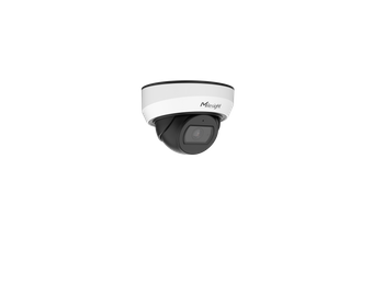 AI Weather-proof Mini Dome Network Camera